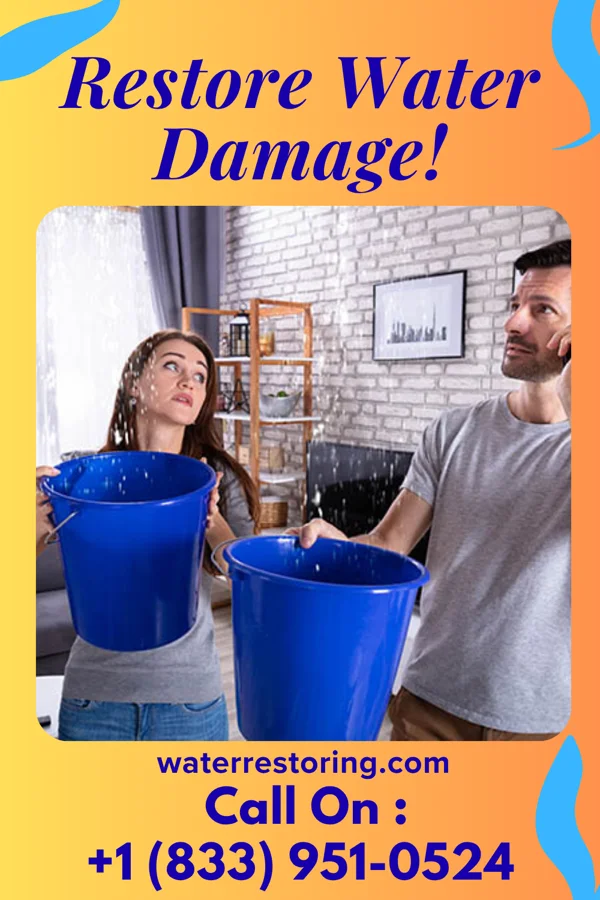 water restoration First Mitigation LLC Arcadia