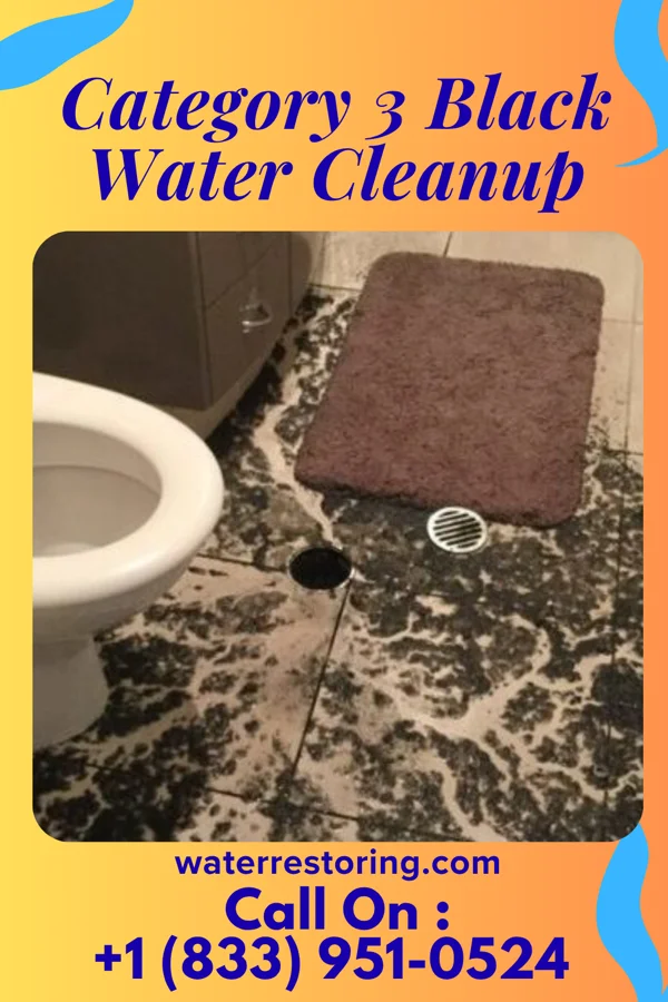 Category 3 Black Water Cleanup in Arcadia, LA