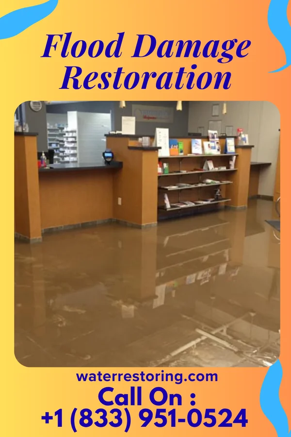 Flood Damage Restoration in Arcadia, LA