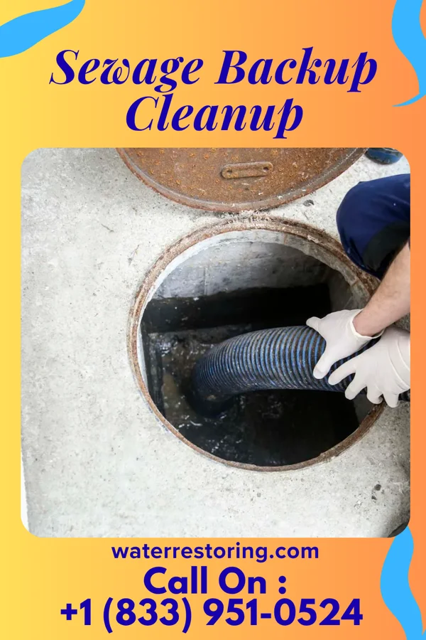 Sewage Backup Cleanup in Arcadia, LA