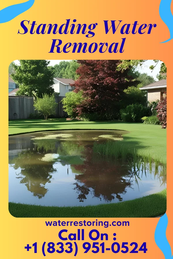 Standing Water Removal in Arcadia, LA